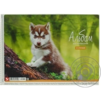 Альбом Школярик для малювання 20аркушів Art.472023 х10 купити, ціни на МегаМаркет - фото 7