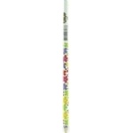 Pencil Zibi 5pcs