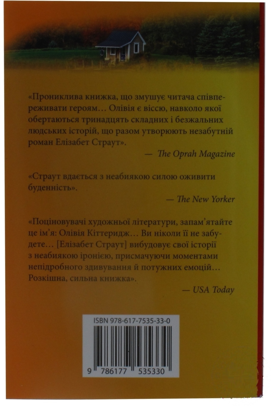 

Книга. Олівія Кіттеридж х20