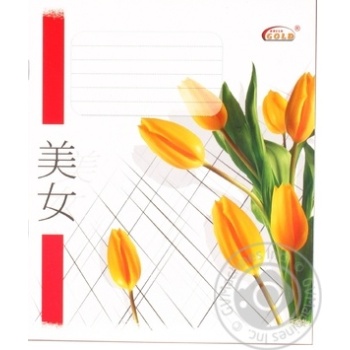 Brisk Gold Notebook in Cell 18 sheets - buy, prices for Auchan - photo 1