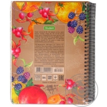 Shkolyaryk Notebook on Spiral B6 120 Sheets - buy, prices for Auchan - photo 4