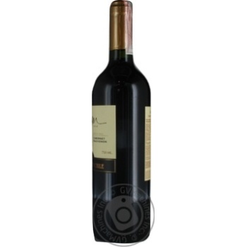 Wine cabernet sauvignon Winemaker red dry 13% 750ml glass bottle Chili - buy, prices for MegaMarket - photo 5