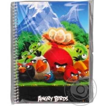 Блокнот А5,48арк.Cool for School Angry Birds кріплення блоку-бічна спіраль,обкладинка-пластик AB03274-01 - купити, ціни на - фото 11