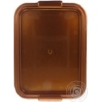 Hemoplast Rectangular Tray 445х320мм