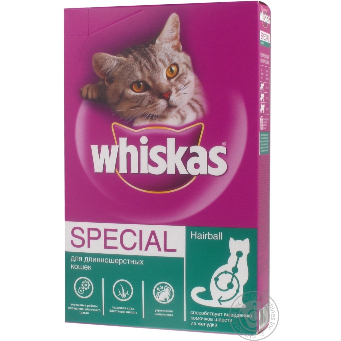 top dog subscription boxes