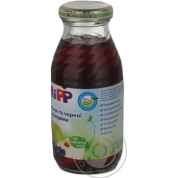 Sugar-free juice Hipp apple and blackcurrant for 6+ months babies glass bottle 200ml Hungary - buy, prices for - photo 5