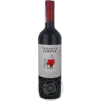 Wine carmener Tussock jumper red dry 13.5% 2010year 750ml glass bottle Chili - buy, prices for MegaMarket - photo 1