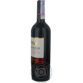 Вино Sarmientos Cabernet Sauvignon червоне сухе 0.75л купити, ціни на МегаМаркет - фото 8