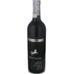 Wine tempranilyo Monterio Faustino red dry 13% 2007year 750ml glass bottle Spain