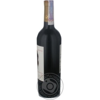 Вино Aves Del Sur Carbernet Sauvignon червоне сухе 0.75л х12 купити, ціни на МегаМаркет - фото 3