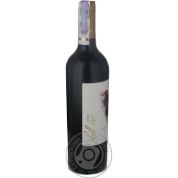 Вино Aves Del Sur Carbernet Sauvignon червоне сухе 0.75л х12 купити, ціни на МегаМаркет - фото 4