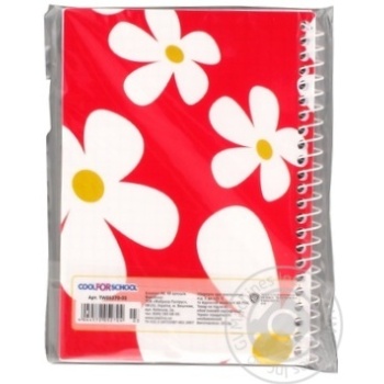 Notebook Cool for school Tweety 48pages Ukraine - buy, prices for NOVUS - photo 5