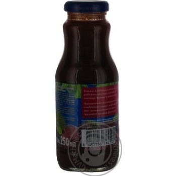 Pasteurized homogenized juice with pulp and sugar Chumak plum glass bottle 250ml Ukraine - buy, prices for - photo 2