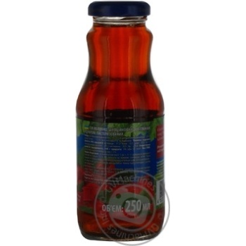 Clarified pasteurized juice with sugar Chumak apples and dog-rose glass bottle 250ml Ukraine - buy, prices for NOVUS - photo 4