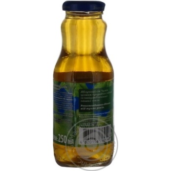 Reconstituted clarified pasteurized sugar-free juice Chumak apples glass bottle 250ml Ukraine - buy, prices for NOVUS - photo 3