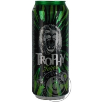 Напиток Трофи со вкусом фейхоа слабоалкогольный сильногазированный железная банка 7%об. 500мл Россия Напиток Трофи со вкусом фейхоа слабоалкогольный сильногазированный железная банка 7%об. 500мл Россия - купить, цены на - фото 14