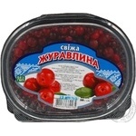 Журавлина свіжа 300г