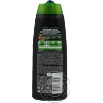 shampoo garnier fructis 250ml - buy, prices for - photo 3