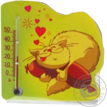 Vikter Room Thermometer - buy, prices for MegaMarket - photo 1