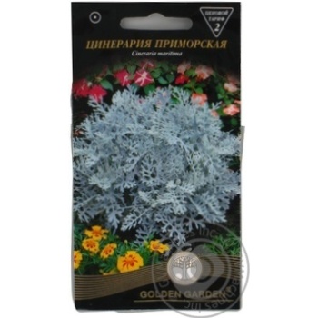 Golden Garden Seaside Cineraria Seeds 0.1g - buy, prices for Za Raz - photo 5