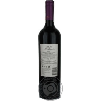 Wine shiraz Tarapaca red dry 14% 750ml glass bottle Chili - buy, prices for MegaMarket - photo 2