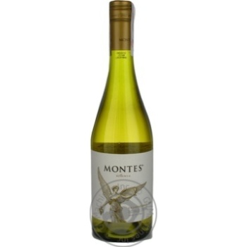 Wine chardonnay white dry 13.5% 750ml glass bottle Chili - buy, prices for MegaMarket - photo 1