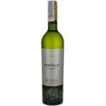 Wine chardonnay white dry 13% 750ml glass bottle Argentina