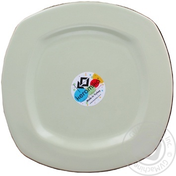 Plate - buy, prices for MegaMarket - photo 6