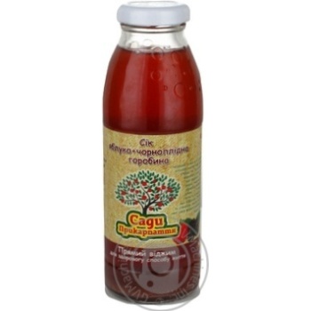 Juice Sadu prykarpatia apple chokeberry 300ml glass bottle - buy, prices for NOVUS - photo 1