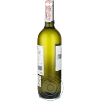 Вино Тerre Forti Pinot Grigio delle Venezie DOC біле, сухе 0,75л купити, ціни на МегаМаркет - фото 3