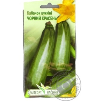 Elitsortnasinnia Black Handsome Zucchini Seeds 20pcs - buy, prices for NOVUS - photo 1