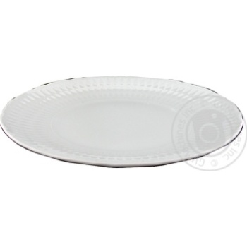 Plate - buy, prices for MegaMarket - photo 1