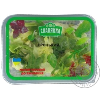 Greens lettuce Slavjanka fresh 140g - buy, prices for MegaMarket - photo 1