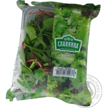 Greens lettuce Slavjanka fresh for salad 105g - buy, prices for MegaMarket - photo 1