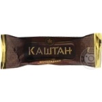 Hladyk Kashtan Сhocolate Ice-Сream 75g