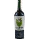 Вино Ego Bodegas Goru Organic червоне сухе 0.75л х6