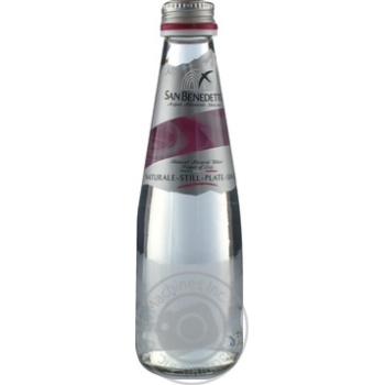 Water Evian non-carbonated 250ml plastic bottle - buy, prices for MegaMarket - photo 1