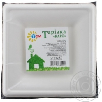 Plate - buy, prices for MegaMarket - photo 1
