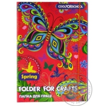 Cool for school  Folder for labor - buy, prices for MegaMarket - photo 1